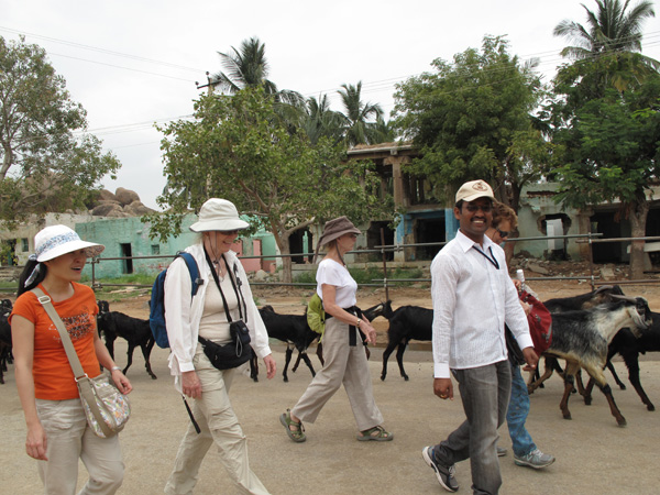 Hampi street scene with goats