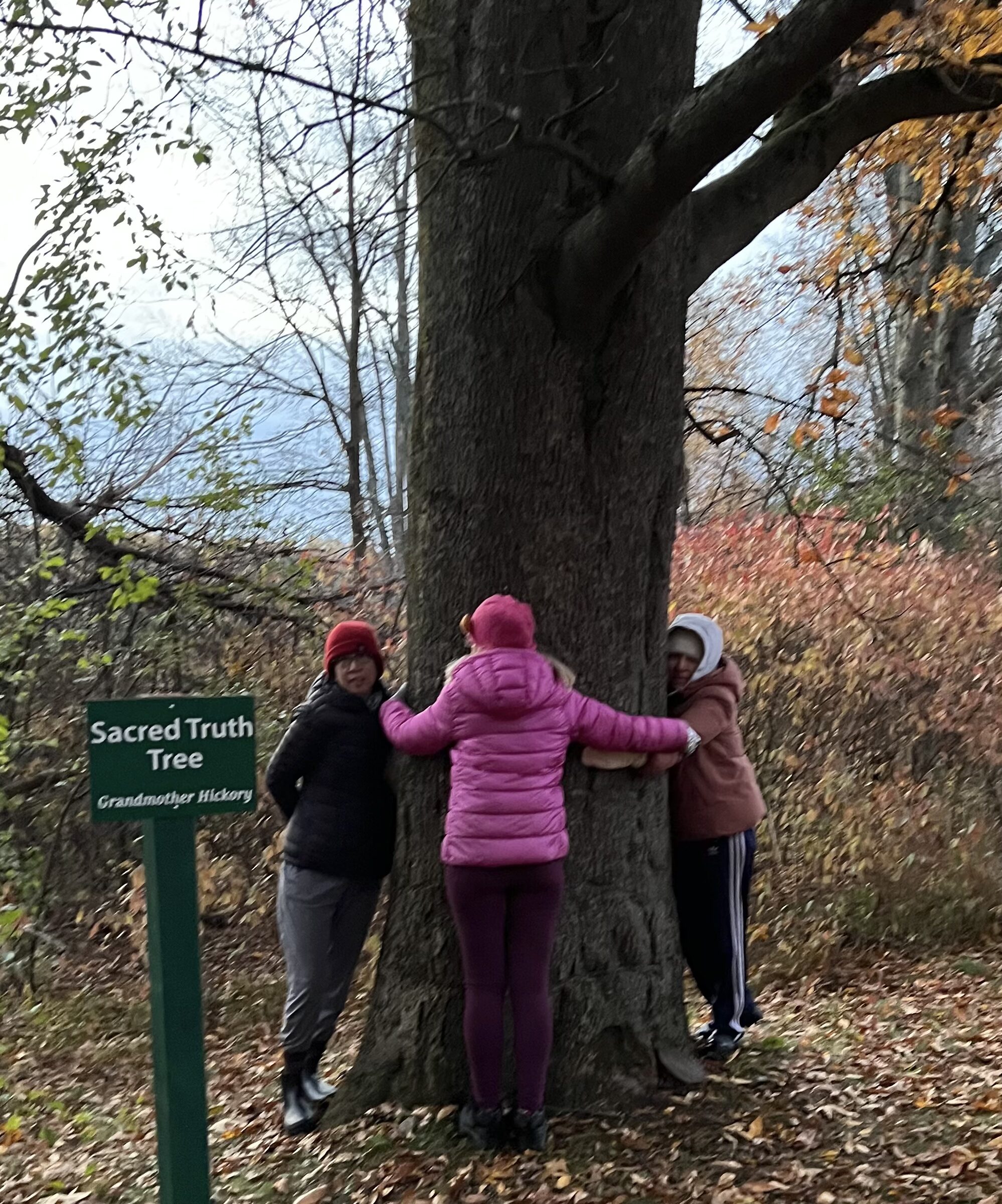 Sacred Truth Tree